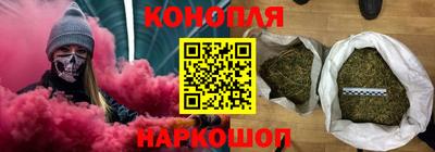 индика Краснознаменск
