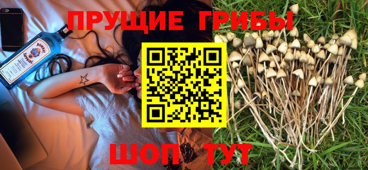Алапаевск  Галлюциногенные грибы мицелий  купить  сайты  Псилоцибиновые грибы прущие грибы  Вход с VPN 